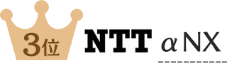 価格別売れ筋3位 NTT αNX